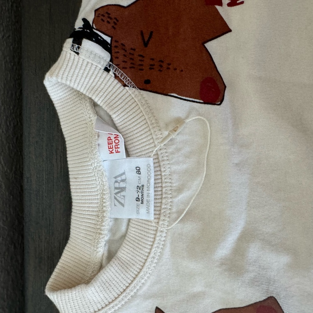Zara shirt